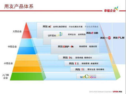 軟件項(xiàng)目管理能力評(píng)估 驅(qū)動(dòng)企業(yè)軟件開發(fā)成功的關(guān)鍵